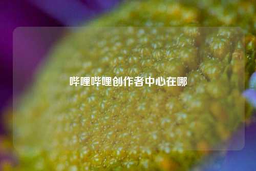 哔哩哔哩创作者中心在哪  第1张