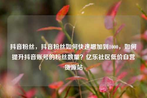 抖音粉丝，抖音粉丝如何快速增加到1000，如何提升抖音账号的粉丝数量？亿乐社区低价自营货源站  第1张