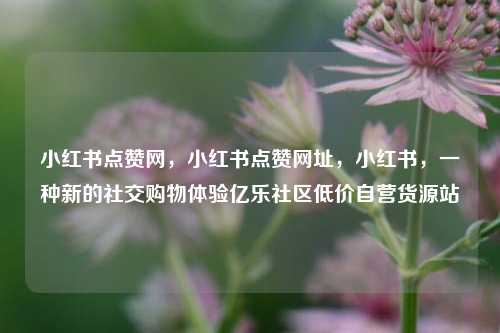 小红书点赞网，小红书点赞网址，小红书，一种新的社交购物体验亿乐社区低价自营货源站  第1张