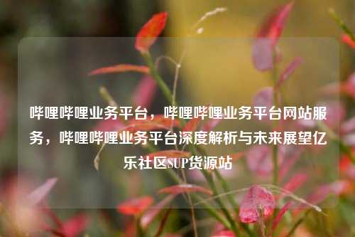 哔哩哔哩业务平台，哔哩哔哩业务平台网站服务，哔哩哔哩业务平台深度解析与未来展望亿乐社区SUP货源站  第1张