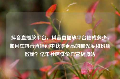 抖音直播放平台，抖音直播放平台抽成多少，如何在抖音直播间中获得更高的曝光度和粉丝数量？亿乐社区低价自营货源站  第1张
