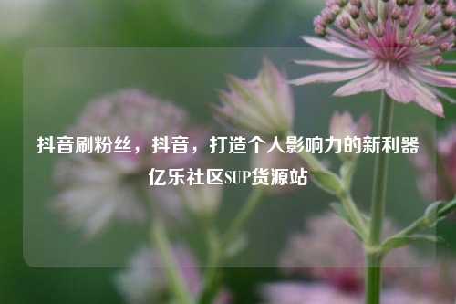 抖音刷粉丝，抖音，打造个人影响力的新利器亿乐社区SUP货源站  第1张