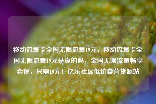 移动流量卡全国无限流量19元，移动流量卡全国无限流量19元是真的吗，全国无限流量畅享套餐，只需19元！亿乐社区低价自营货源站  第1张