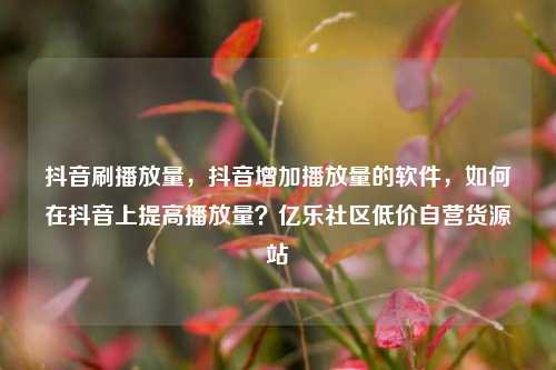 抖音刷播放量，抖音增加播放量的软件，如何在抖音上提高播放量？亿乐社区低价自营货源站  第1张