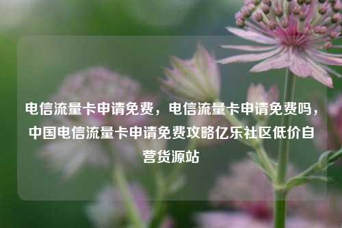 电信流量卡申请免费，电信流量卡申请免费吗，中国电信流量卡申请免费攻略亿乐社区低价自营货源站  第1张