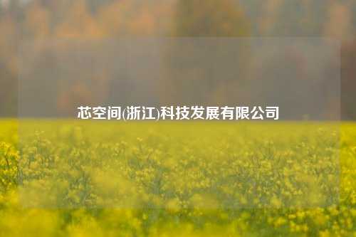 芯空间(浙江)科技发展有限公司  第1张