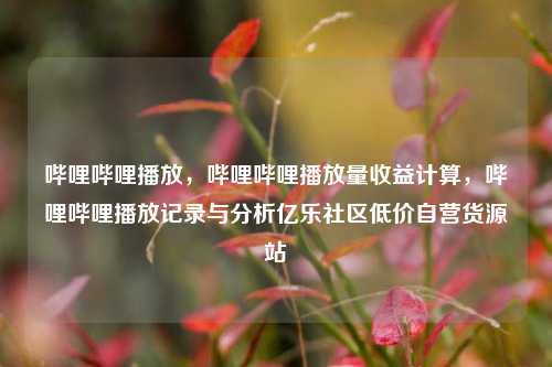 哔哩哔哩播放，哔哩哔哩播放量收益计算	，哔哩哔哩播放记录与分析亿乐社区低价自营货源站  第1张