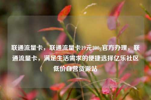 联通流量卡，联通流量卡19元200g官方办理，联通流量卡	，满足生活需求的便捷选择亿乐社区低价自营货源站  第1张