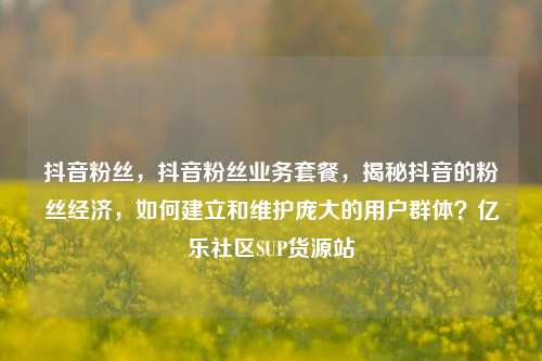 抖音粉丝，抖音粉丝业务套餐，揭秘抖音的粉丝经济，如何建立和维护庞大的用户群体？亿乐社区SUP货源站  第1张