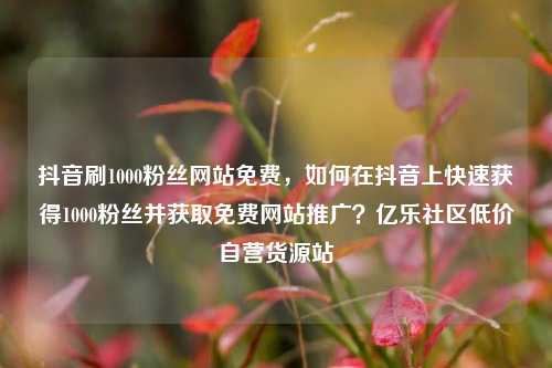 抖音刷1000粉丝网站免费，如何在抖音上快速获得1000粉丝并获取免费网站推广？亿乐社区低价自营货源站  第1张