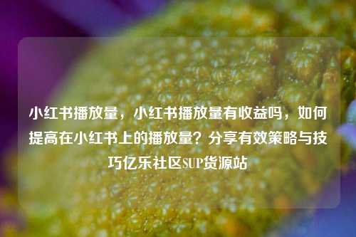 小红书播放量	，小红书播放量有收益吗，如何提高在小红书上的播放量？分享有效策略与技巧亿乐社区SUP货源站  第1张