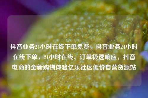 抖音业务24小时在线下单免费，抖音业务24小时在线下单，24小时在线、订单极速响应，抖音电商的全新购物体验亿乐社区低价自营货源站  第1张