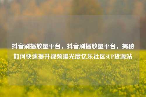 抖音刷播放量平台，抖音刷播放量平台，揭秘如何快速提升视频曝光度亿乐社区SUP货源站  第1张