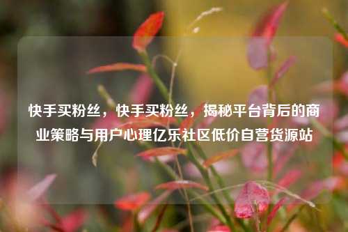 快手买粉丝，快手买粉丝，揭秘平台背后的商业策略与用户心理亿乐社区低价自营货源站  第1张
