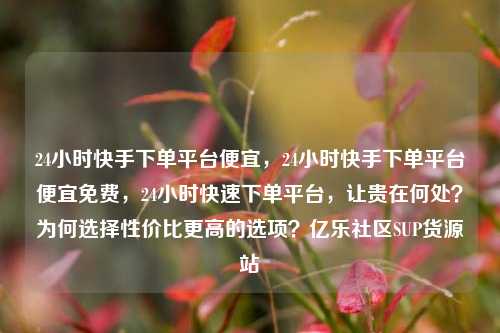 24小时快手下单平台便宜，24小时快手下单平台便宜免费，24小时快速下单平台，让贵在何处？为何选择性价比更高的选项？亿乐社区SUP货源站  第1张