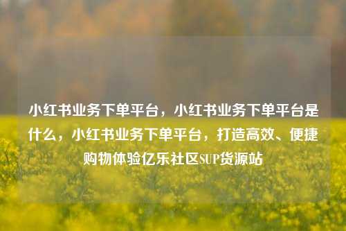 小红书业务下单平台，小红书业务下单平台是什么，小红书业务下单平台，打造高效、便捷购物体验亿乐社区SUP货源站  第1张