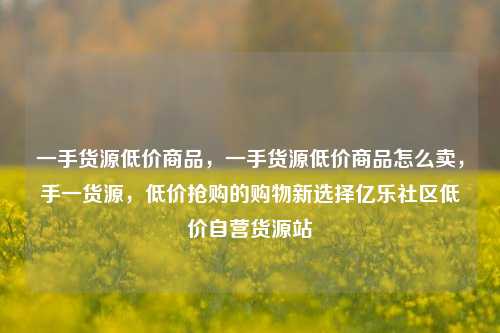 一手货源低价商品	，一手货源低价商品怎么卖，手一货源，低价抢购的购物新选择亿乐社区低价自营货源站  第1张