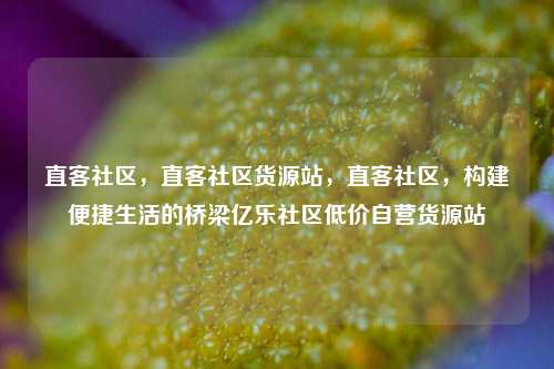 直客社区，直客社区货源站	，直客社区，构建便捷生活的桥梁亿乐社区低价自营货源站  第1张