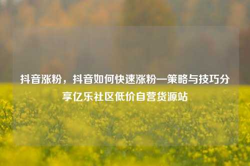 抖音涨粉，抖音如何快速涨粉—策略与技巧分享亿乐社区低价自营货源站  第1张