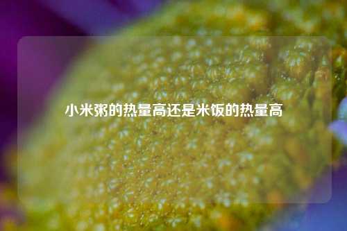 小米粥的热量高还是米饭的热量高  第1张