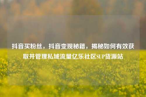 抖音买粉丝	，抖音变现秘籍，揭秘如何有效获取并管理私域流量亿乐社区SUP货源站  第1张