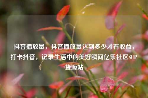 抖音播放量，抖音播放量达到多少才有收益，打卡抖音，记录生活中的美好瞬间亿乐社区SUP货源站  第1张