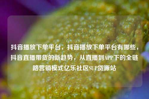 抖音播放下单平台	，抖音播放下单平台有哪些，抖音直播带货的新趋势，从直播到APP下的全链路营销模式亿乐社区SUP货源站  第1张