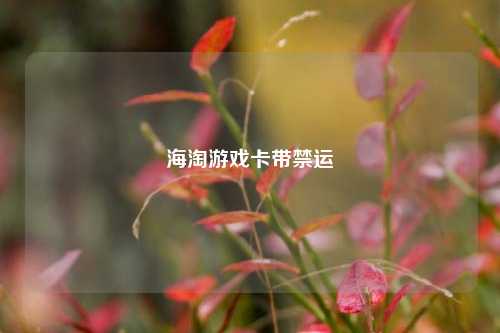 海淘游戏卡带禁运  第1张
