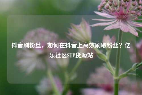 抖音刷粉丝	，如何在抖音上高效刷取粉丝？亿乐社区SUP货源站  第1张