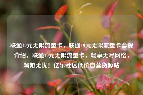 联通19元无限流量卡，联通19元无限流量卡套餐介绍	，联通19元无限流量卡，畅享无尽网络，畅游无忧！亿乐社区低价自营货源站  第1张
