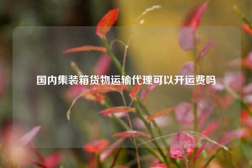 国内集装箱货物运输代理可以开运费吗  第1张