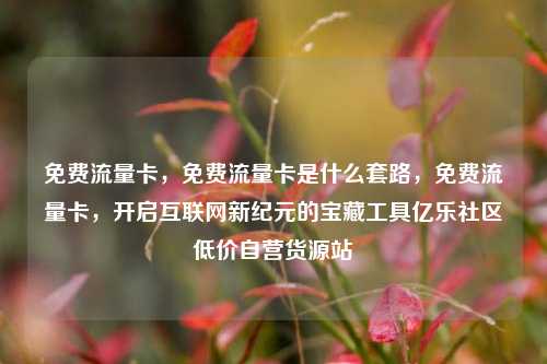 免费流量卡，免费流量卡是什么套路	，免费流量卡，开启互联网新纪元的宝藏工具亿乐社区低价自营货源站  第1张