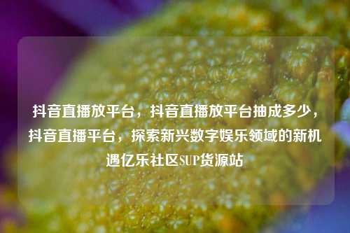 抖音直播放平台，抖音直播放平台抽成多少	，抖音直播平台，探索新兴数字娱乐领域的新机遇亿乐社区SUP货源站  第1张