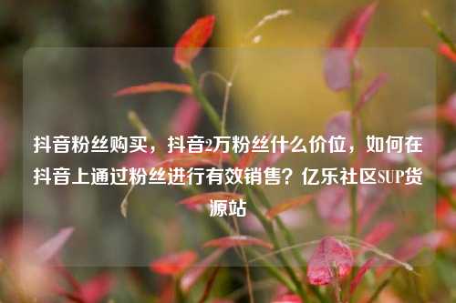 抖音粉丝购买，抖音2万粉丝什么价位，如何在抖音上通过粉丝进行有效销售？亿乐社区SUP货源站  第1张