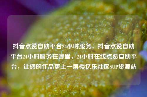 抖音点赞自助平台24小时服务，抖音点赞自助平台24小时服务在哪里，24小时在线点赞自助平台	，让您的作品更上一层楼亿乐社区SUP货源站  第1张