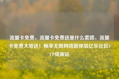 流量卡免费，流量卡免费送是什么套路，流量卡免费大放送！畅享无限网络新体验亿乐社区SUP货源站  第1张