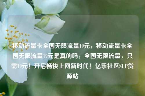 移动流量卡全国无限流量19元	，移动流量卡全国无限流量19元是真的吗，全国无限流量，只需19元！开启畅快上网新时代！亿乐社区SUP货源站  第1张