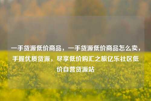 一手货源低价商品，一手货源低价商品怎么卖，手握优质货源，尽享低价购汇之旅亿乐社区低价自营货源站  第1张