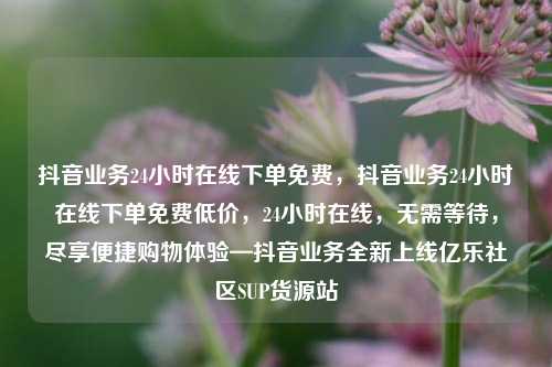 抖音业务24小时在线下单免费，抖音业务24小时在线下单免费低价，24小时在线，无需等待，尽享便捷购物体验—抖音业务全新上线亿乐社区SUP货源站  第1张