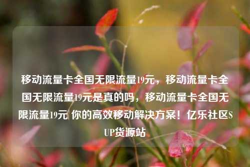 移动流量卡全国无限流量19元，移动流量卡全国无限流量19元是真的吗，移动流量卡全国无限流量19元 你的高效移动解决方案！亿乐社区SUP货源站  第1张