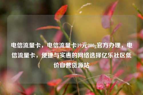 电信流量卡，电信流量卡19元200g官方办理，电信流量卡，便捷与实惠的网络选择亿乐社区低价自营货源站  第1张