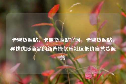 卡盟货源站，卡盟货源站官网	，卡盟货源站，寻找优质商品的新选择亿乐社区低价自营货源站  第1张