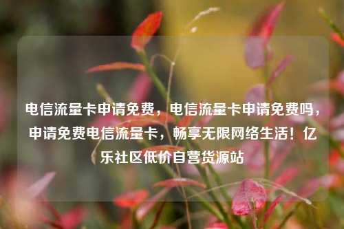 电信流量卡申请免费，电信流量卡申请免费吗	，申请免费电信流量卡，畅享无限网络生活！亿乐社区低价自营货源站  第1张