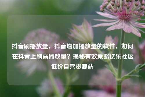 抖音刷播放量，抖音增加播放量的软件	，如何在抖音上刷高播放量？揭秘有效策略亿乐社区低价自营货源站  第1张