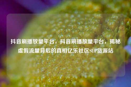 抖音刷播放量平台，抖音刷播放量平台，揭秘虚假流量背后的真相亿乐社区SUP货源站  第1张