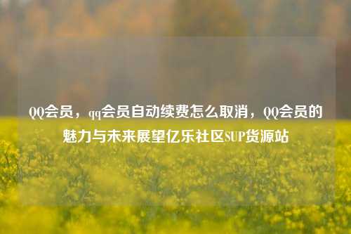 QQ会员	，qq会员自动续费怎么取消，QQ会员的魅力与未来展望亿乐社区SUP货源站  第1张