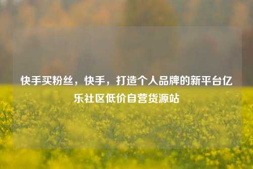 快手买粉丝，快手，打造个人品牌的新平台亿乐社区低价自营货源站  第1张