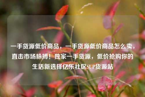 一手货源低价商品	，一手货源低价商品怎么卖，直击市场脉搏！独家一手货源，低价抢购你的生活新选择亿乐社区SUP货源站  第1张