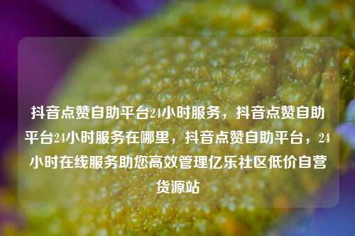 抖音点赞自助平台24小时服务，抖音点赞自助平台24小时服务在哪里	，抖音点赞自助平台，24小时在线服务助您高效管理亿乐社区低价自营货源站  第1张