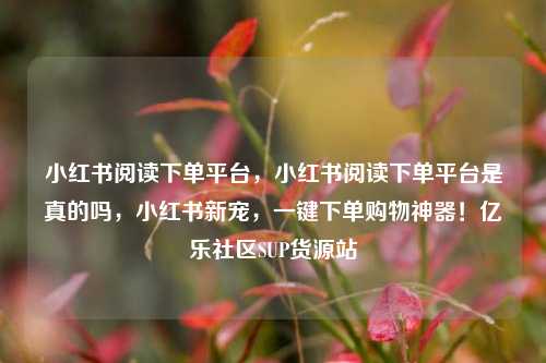 小红书阅读下单平台，小红书阅读下单平台是真的吗，小红书新宠	，一键下单购物神器！亿乐社区SUP货源站  第1张